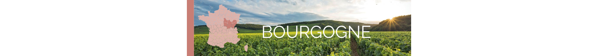 Vins de Bourgogne - La cave des CE